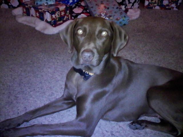 marley1 (Medium)